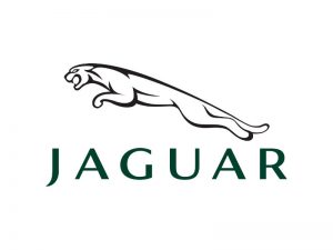 Jaguar Plates