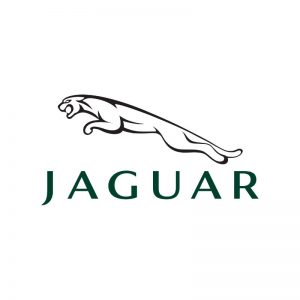 Jaguar Shaped Number Plates